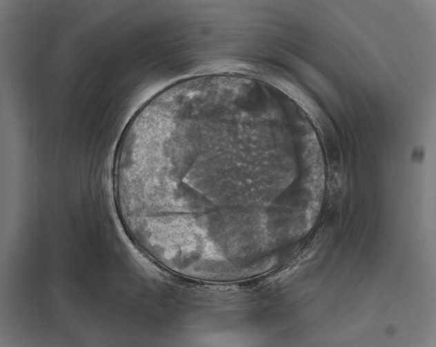 X0000097611055200803281009