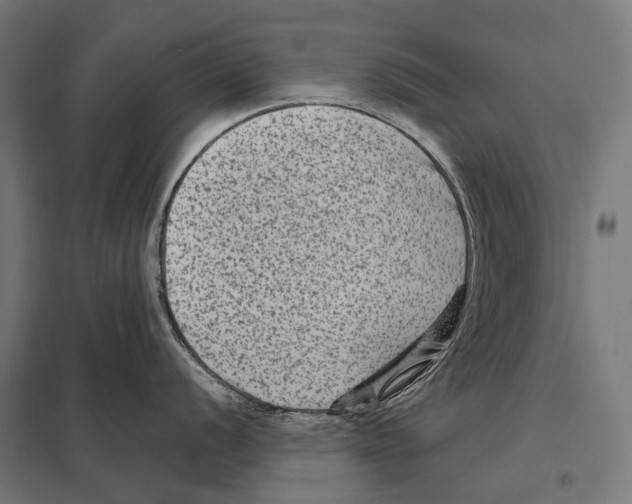 X0000097611056200803281009