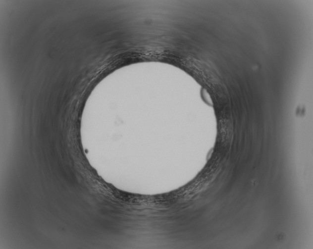 X0000097611057200803281009