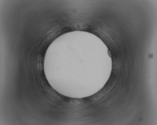 X0000097611058200803281009