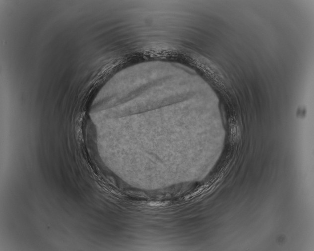 X0000097611060200803281009