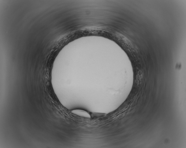 X0000097611062200803281008