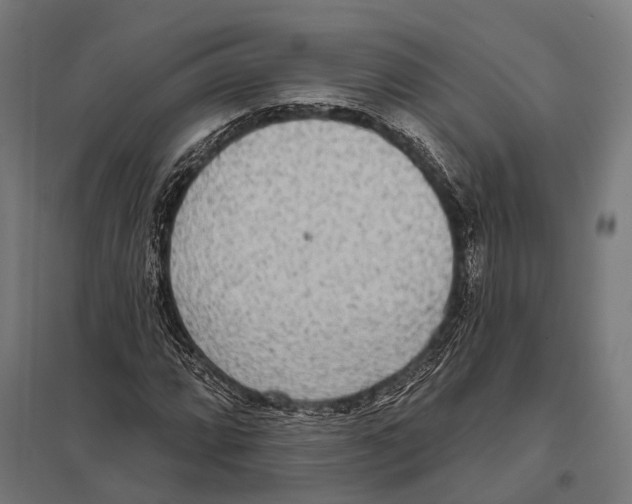 X0000097611064200803281008