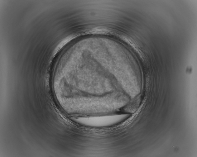 X0000097611066200803281008