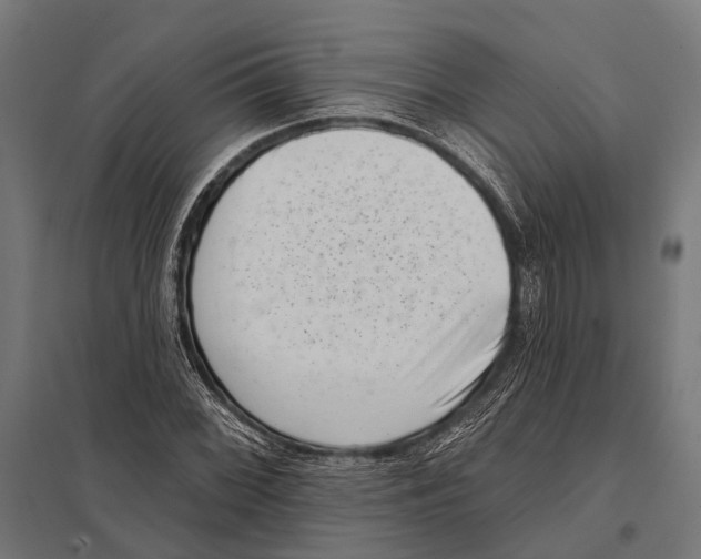 X0000097611068200803281008