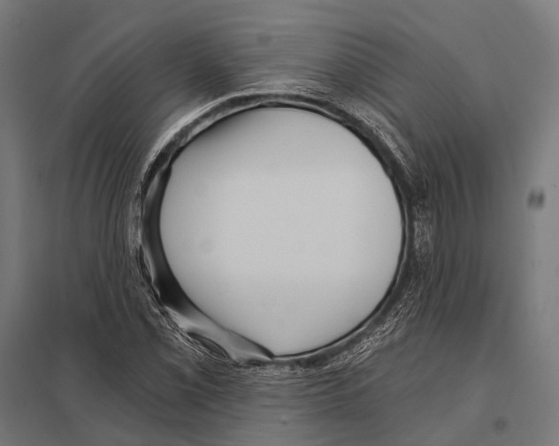 X0000097611069200803281008