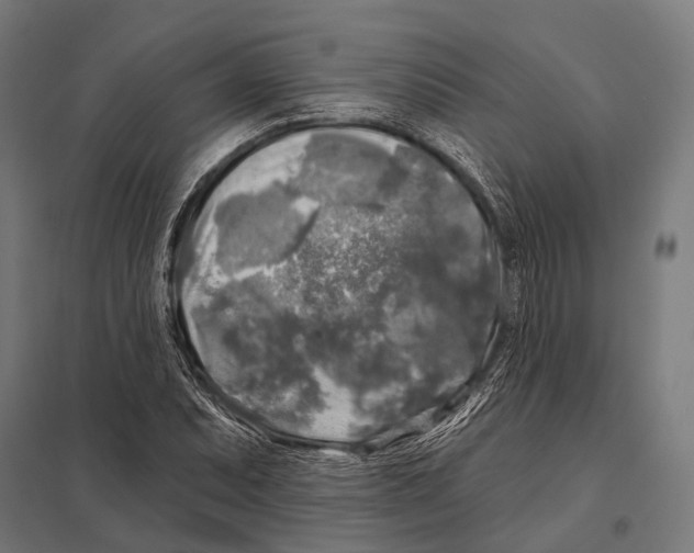 X0000097611071200803281008