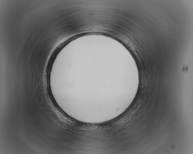 X0000097611072200803281008