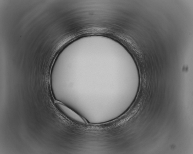 X0000097611073200803281008