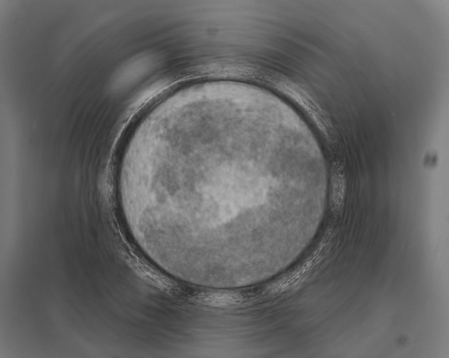 X0000097611074200803281008