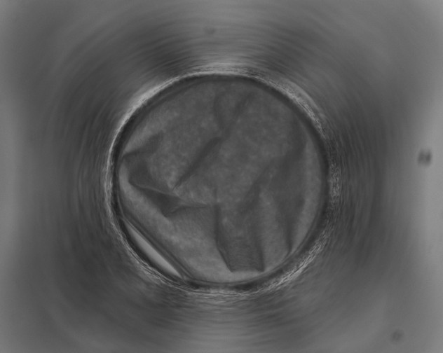 X0000097611077200803281008