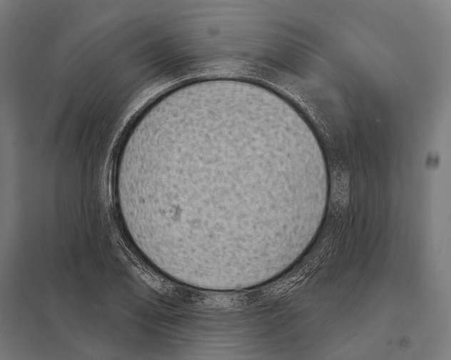 X0000097611078200803281008