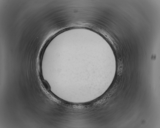 X0000097611080200803281008