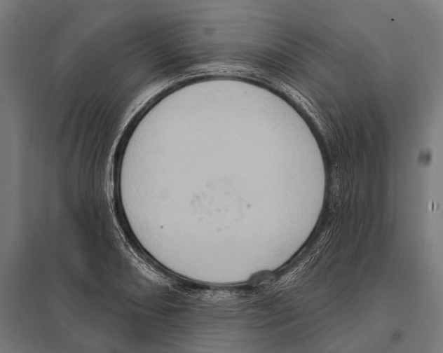 X0000097611082200803281008