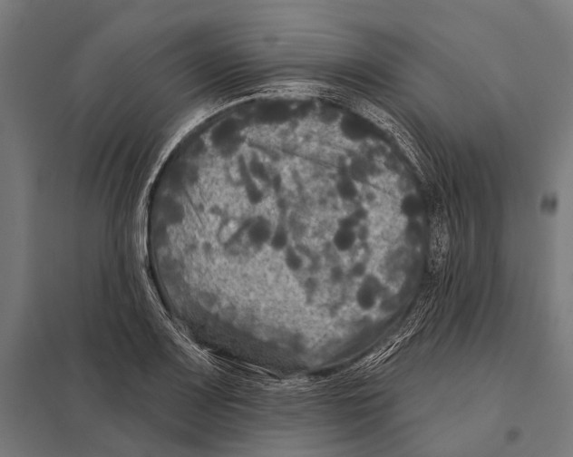 X0000097611083200803281008