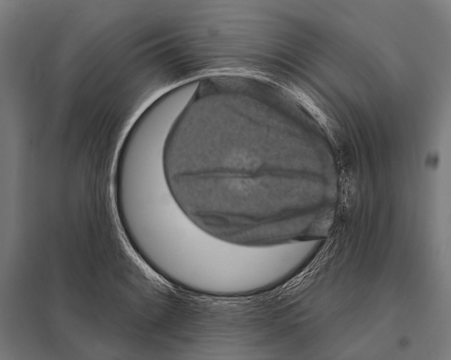 X0000097611084200803281008