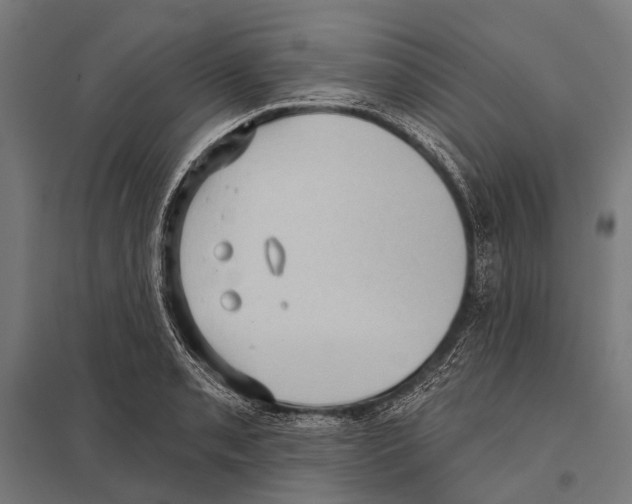 X0000097611085200803281008