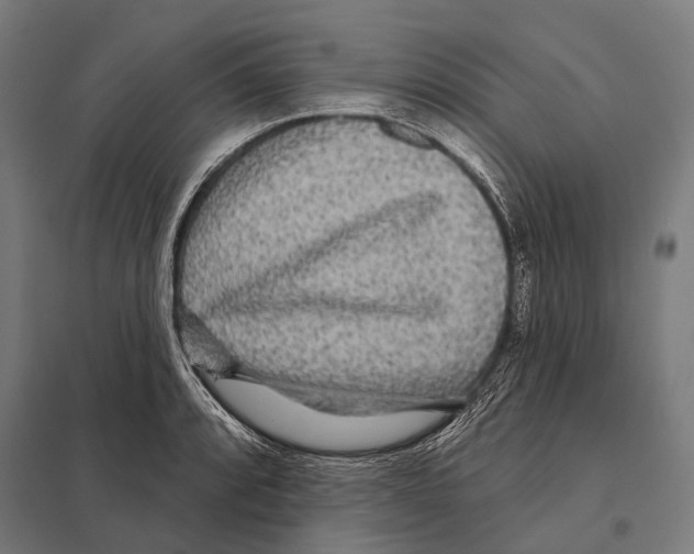 X0000097611088200803281008