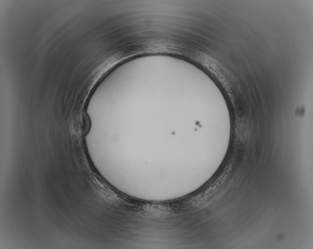 X0000097611089200803281008