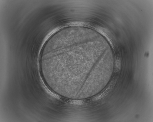 X0000097611090200803281008