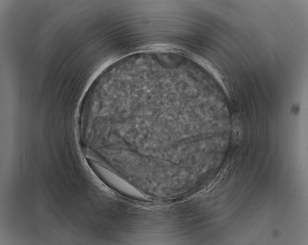 X0000097611091200803281008