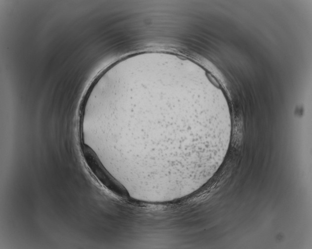 X0000097611096200803281008