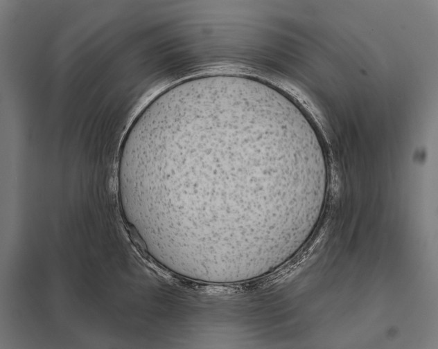 X0000097611097200803281008