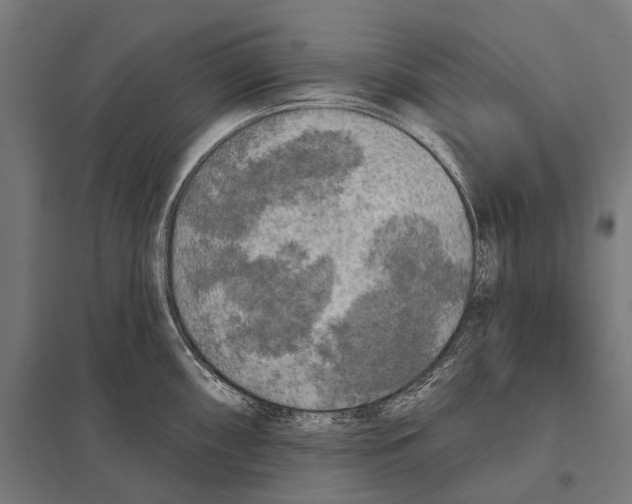 X0000097611098200803281008