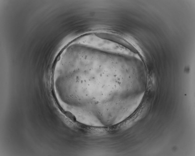 X0000097611101200803281008