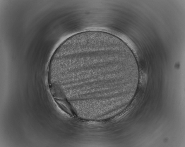 X0000097611102200803281008