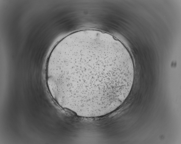 X0000097611104200803281008