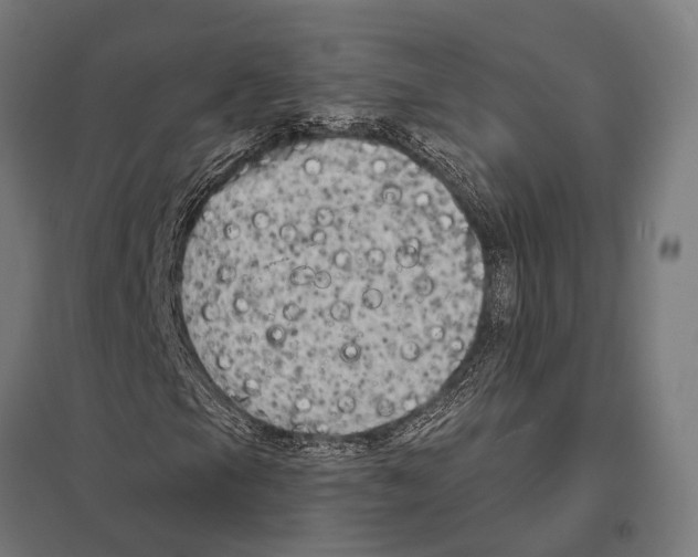 X0000097611105200803281007