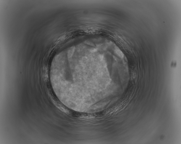 X0000097611106200803281007