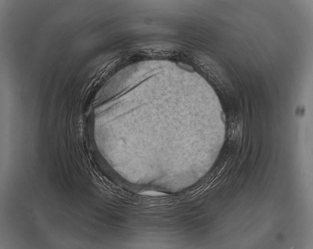 X0000097611108200803281007