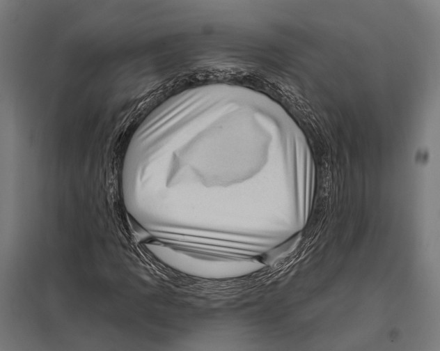 X0000097611109200803281007