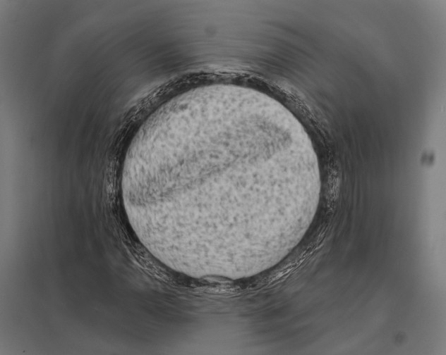 X0000097611110200803281007