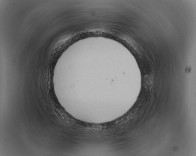 X0000097611111200803281007