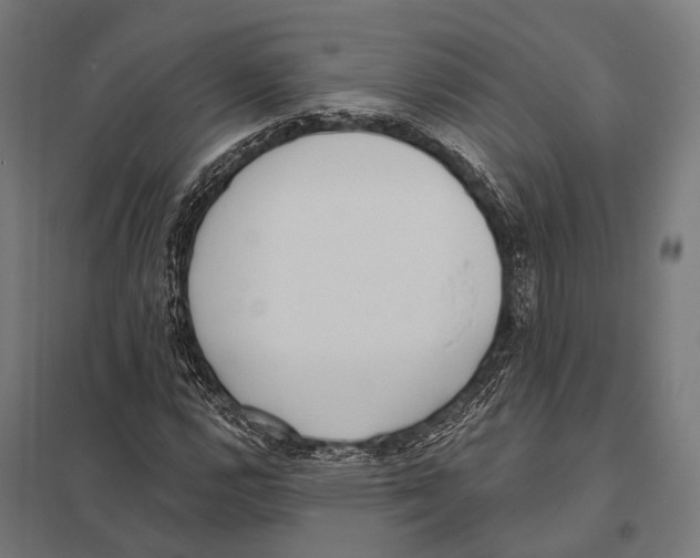 X0000097611112200803281007