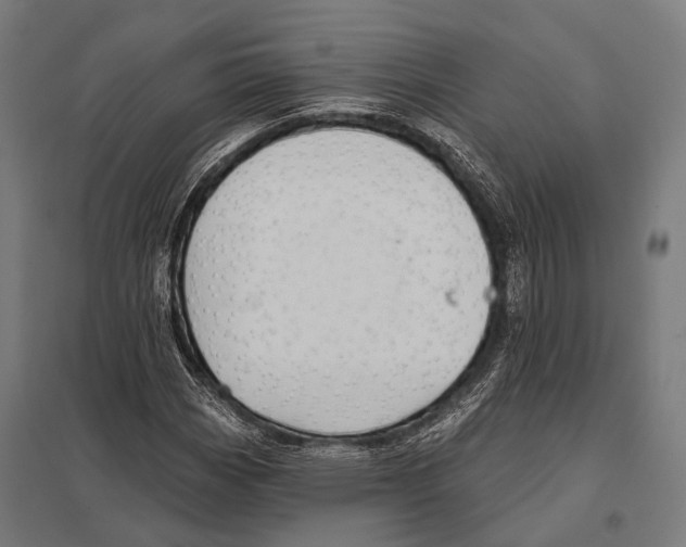 X0000097611113200803281007