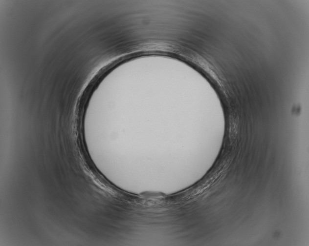 X0000097611116200803281007