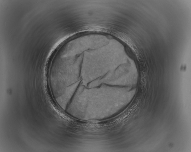 X0000097611120200803281007