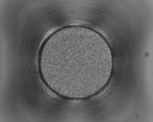 X0000097611122200803281007