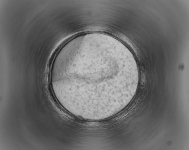 X0000097611124200803281008