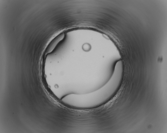 X0000097611126200803281008