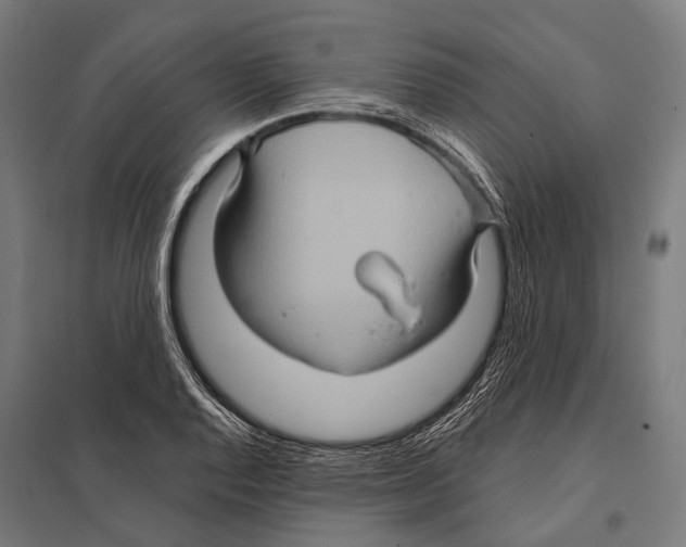 X0000097611128200803281008