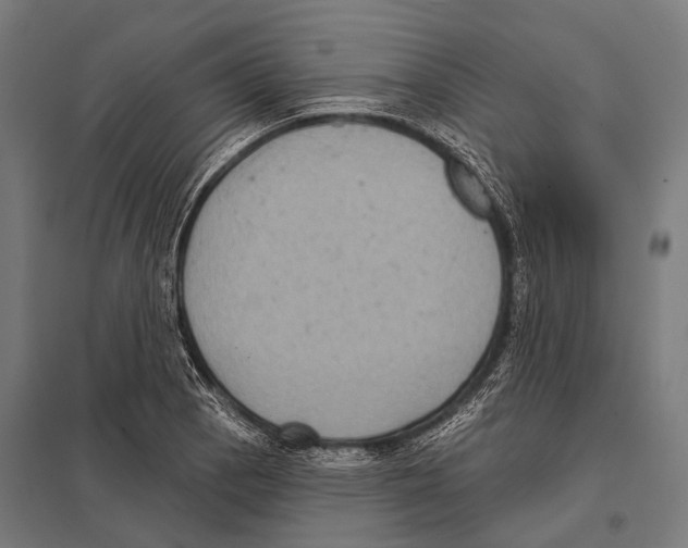 X0000097611129200803281008