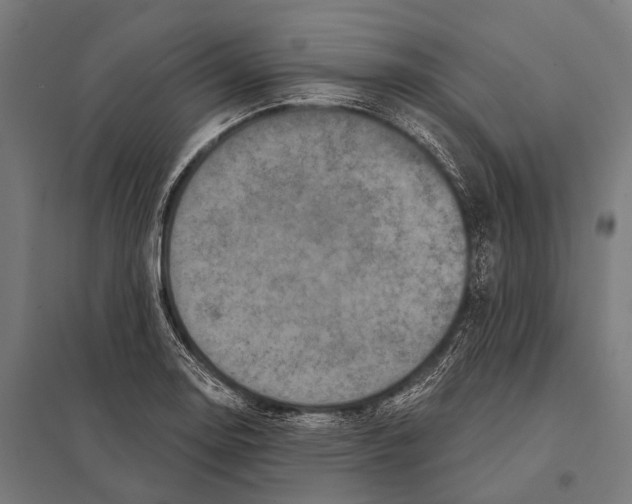 X0000097611130200803281008