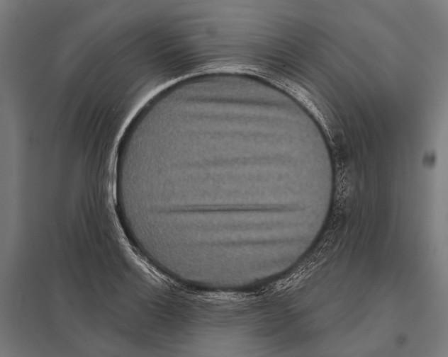 X0000097611132200803281008