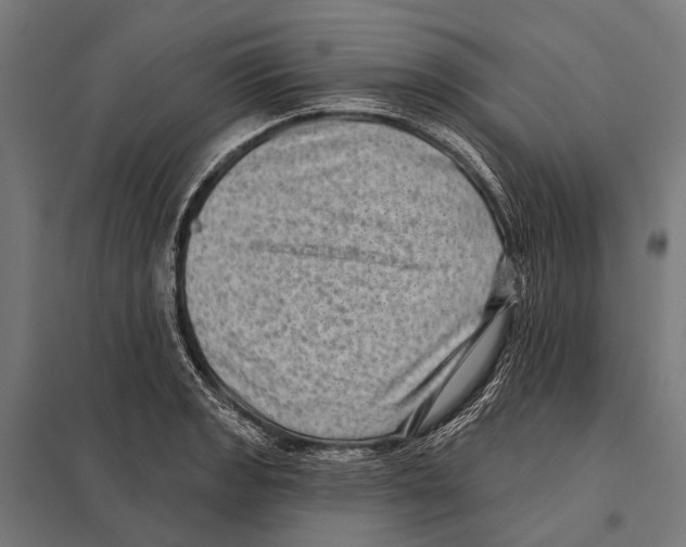 X0000097611133200803281008