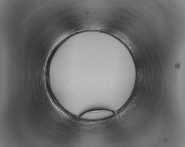 X0000097611135200803281008